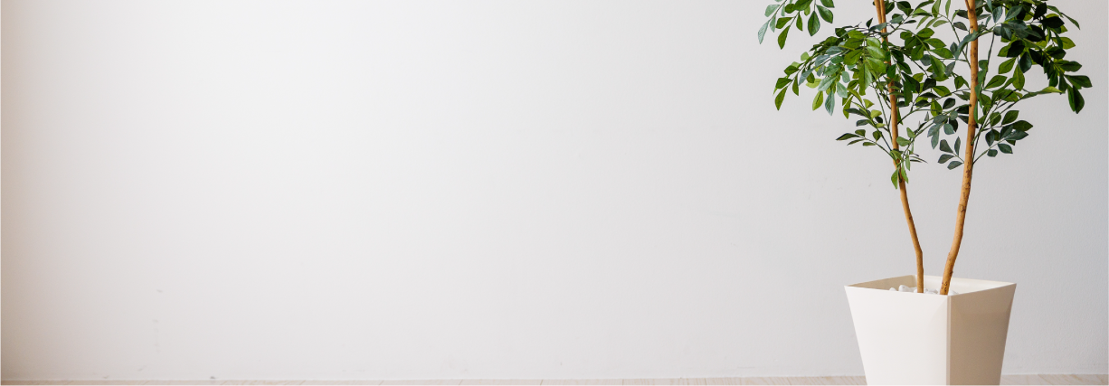 新しい壁紙リフォーム